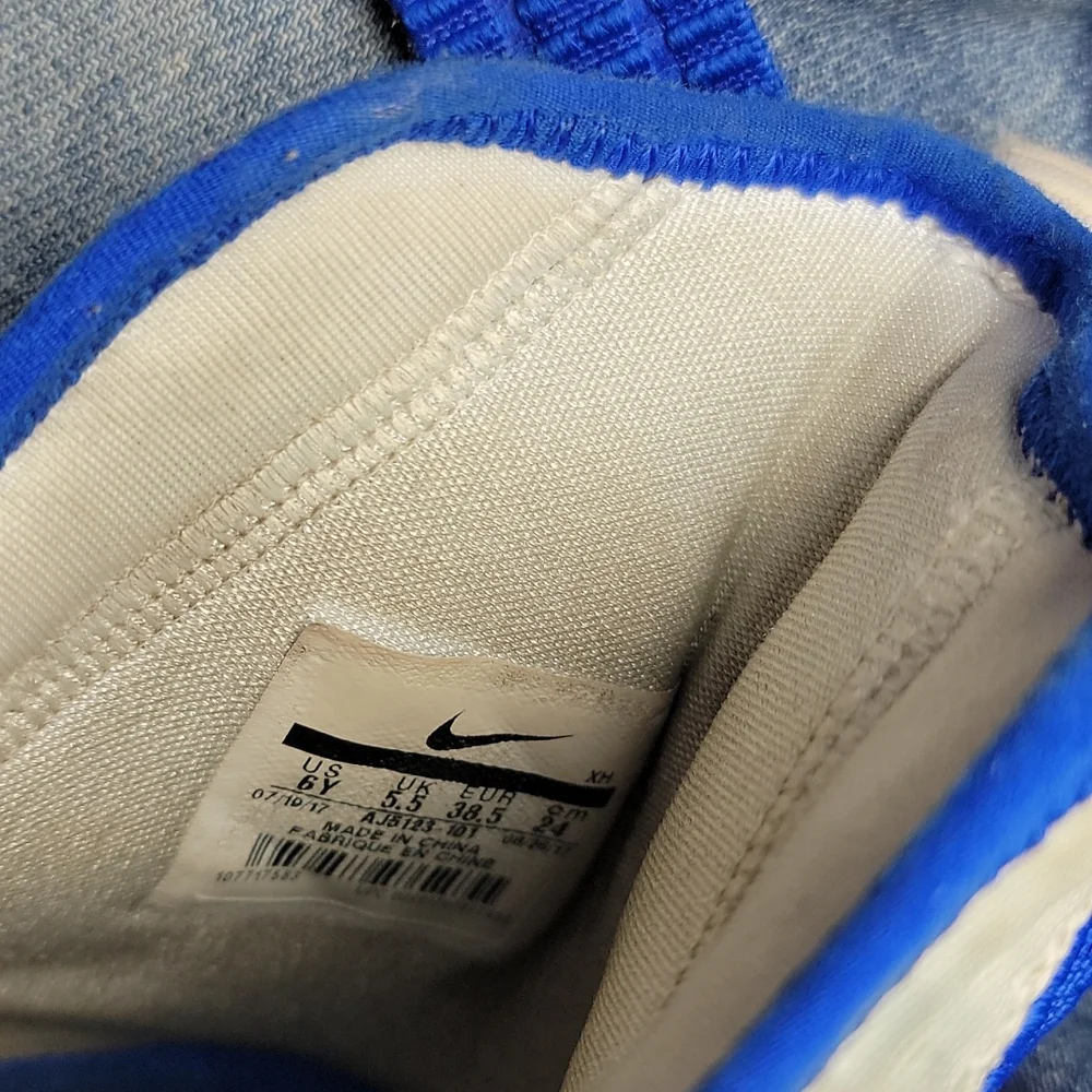Youth Nike LeBron James Shoe